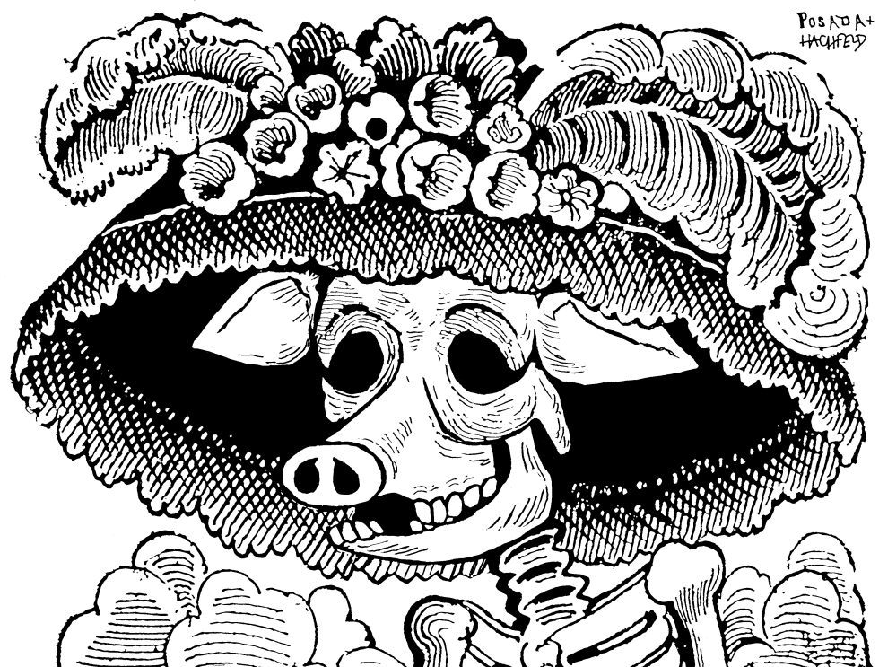  MEXICAN SWINE FLU by Rainer Hachfeld