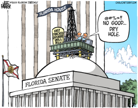 LOCAL FL DRY HOLE SENATE by Parker