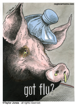 SWINE FLU  by Taylor Jones