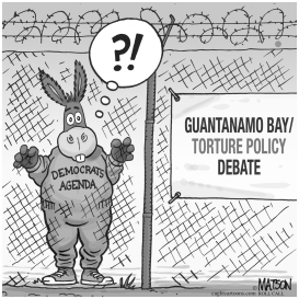 DEMOCRAT DETAINEE by RJ Matson