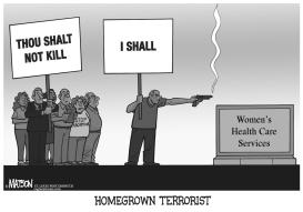 HOMEGROWN TERRORIST by RJ Matson