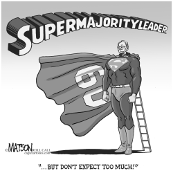 SUPERMAJORITY LEADER by RJ Matson