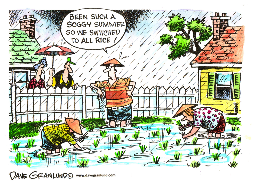  SOGGY SUMMER GARDENS by Dave Granlund