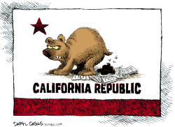 CALIFORNIA BUDGET AND IOUS by Daryl Cagle