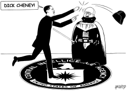 OBAMA, CHENEY, CIA by Rainer Hachfeld