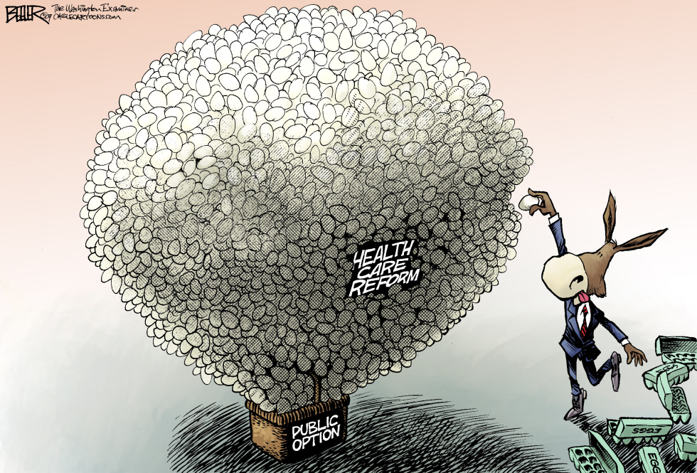  DEMOCRATS AND THE PUBLIC OPTION by Nate Beeler