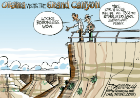 OBAMA VISITS THE GRAND CANYON by David Fitzsimmons