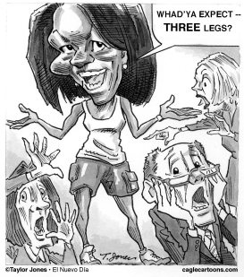 MICHELLE OBAMA WEARS SHORTS by Taylor Jones