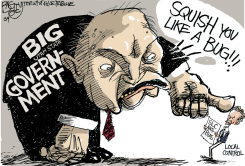 LOCAL BIG GOVERNMENT ABUSES by Pat Bagley