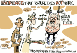 CHENEY AND TORTURE by David Fitzsimmons