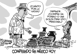 MEXICO Y LA LEGALIZACION DE DROGAS by David Fitzsimmons