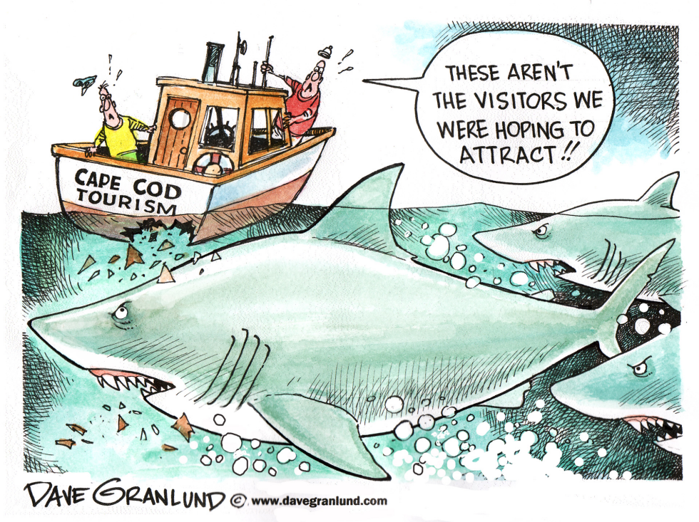  CAPE COD AND GREAT WHITE SHARKS by Dave Granlund