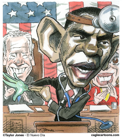 OBAMA PAYS A HOUSE CALL  by Taylor Jones