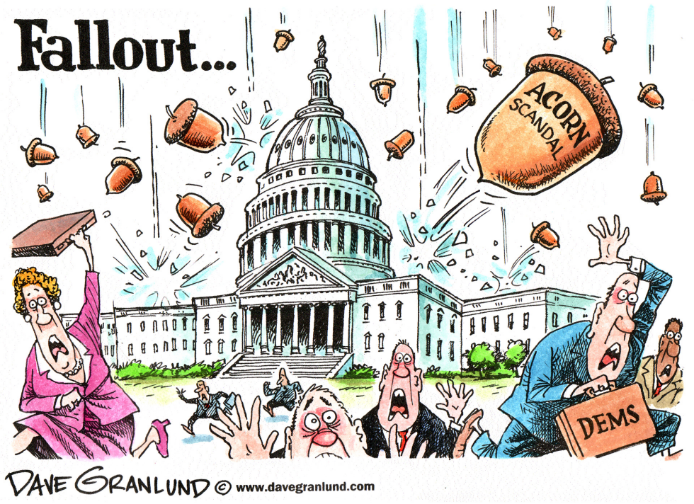  ACORN SCANDAL FALLOUT by Dave Granlund