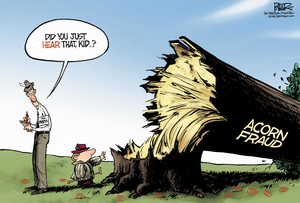  ACORN AND THE PRESS by Nate Beeler