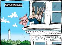 LEY DE BAUCUS  by Bob Englehart