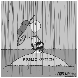 PUBLIC OPTION RAIN DELAY by RJ Matson