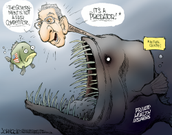 GRASSLEY AND THE INSURERS by John Cole