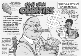 OUR OWN ODDITIES by RJ Matson