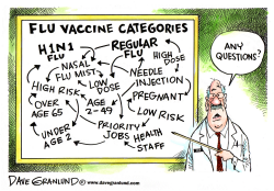 FLU VACCINE CATEGORIES by Dave Granlund