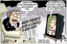 60 LATIGAZOS PARA MUJER PERIODISTA by Wolverton