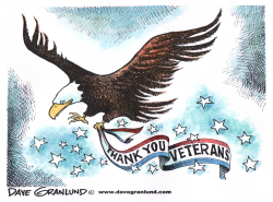 VETERANS DAY by Dave Granlund