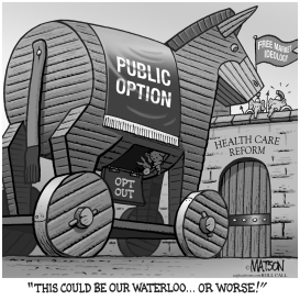 PUBLIC OPTION TROJAN HORSE by RJ Matson