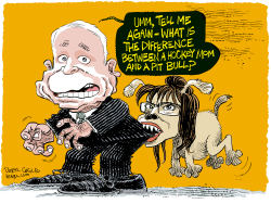 SARAH PALIN AND MCCAIN ROGUE PIT BULL by Daryl Cagle