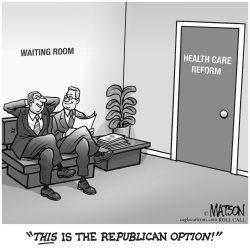 THE REPUBLICAN OPTION by RJ Matson