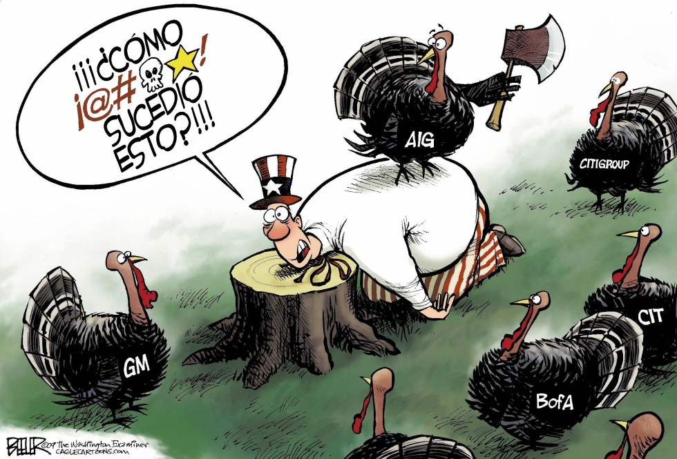  PAVOS RESCATADOS  by Nate Beeler