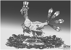 PLUCKED ECONOMY by RJ Matson