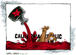 CALIFORNIA BUDGET RED INK  by Daryl Cagle