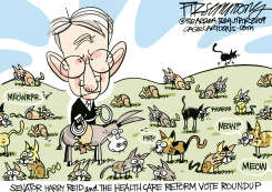 HARRY REID VOTE ROUNDUP  by David Fitzsimmons