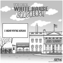 THE REAL WHITE HOUSE CRASHERS by RJ Matson