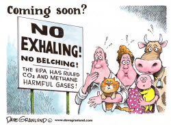 EPA GREENHOUSE GAS RULING by Dave Granlund