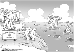 POLAR BEAR SKEPTICS by RJ Matson