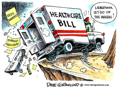 LIEBERMAN STEERING HEALTHCARE by Dave Granlund