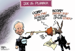 JOE THE PLUMBER by Nate Beeler