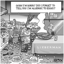 MAKING OMELETTES FOR JOE LIEBERMAN by RJ Matson