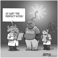 THE PERFECT VOTER by RJ Matson