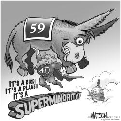 SUPERMINORITY by RJ Matson