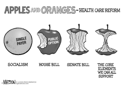 APPLES AND ORANGES by RJ Matson