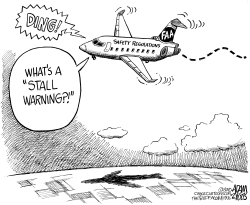 FAA SAFETY REGULATIONS by Adam Zyglis