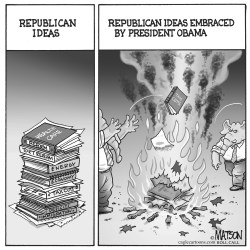 REPUBLICAN IDEAS by RJ Matson