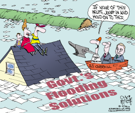 LOCAL IL-GOVT FLOODING SOLUTIONS by Gary McCoy