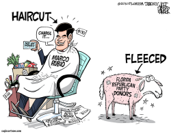 LOCAL FL BAD HAIR DAY FOR RUBIO by Parker