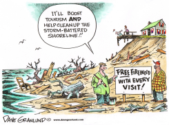 BATTERED SHORELINES by Dave Granlund