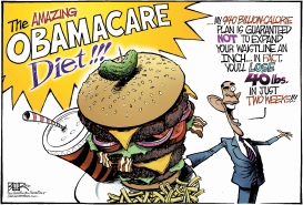 HEALTH CARE DEFICIT REDUCTION by Nate Beeler