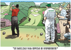 TIGER WOODS REGRESA AL GOLF  by RJ Matson