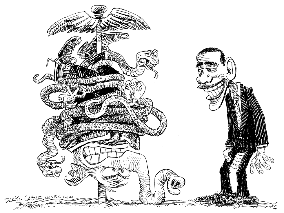  OBAMA BEATS GOP ON HEALTHCARE by Daryl Cagle